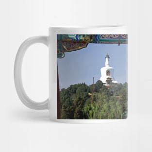 850_0496b Mug